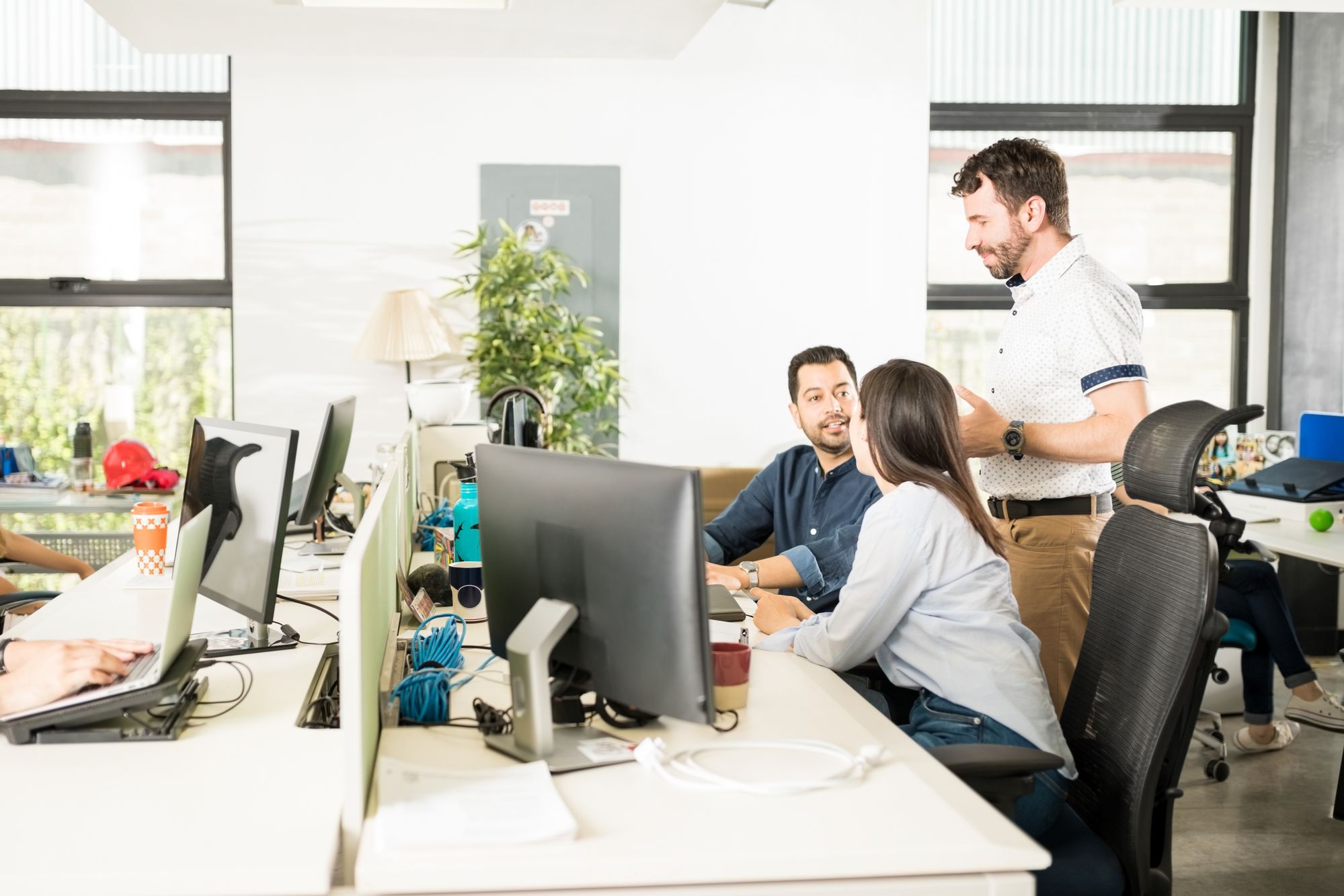 original-4157180b93484b5509c03ed01e1b6ed9